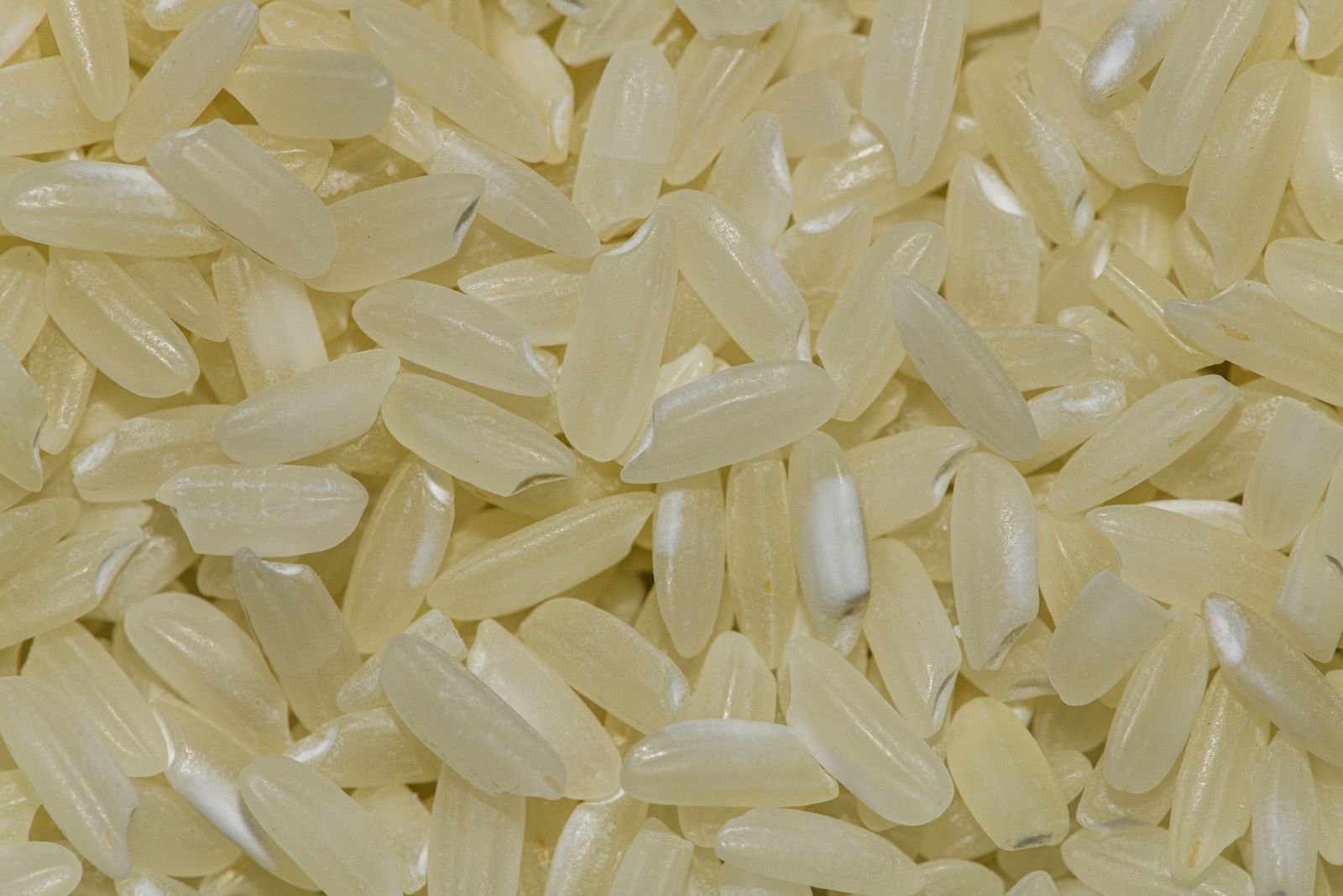 Non-Basmati local paddy grains
